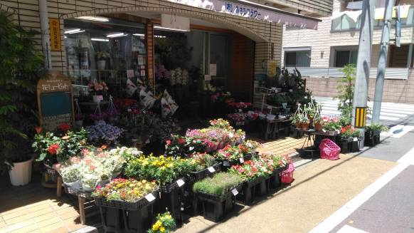埼玉県川口市の花屋 あさひフラワーにフラワーギフトはお任せください 当店は 安心と信頼の花キューピット加盟店です 花キューピットタウン
